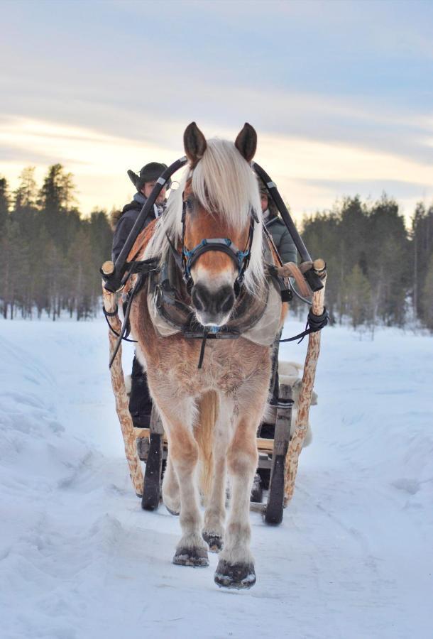Arctic Guesthouse & Igloos Ranua Bagian luar foto